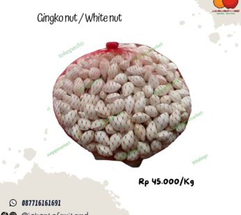White Nut