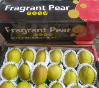 PearXiangli rrc jumbo (kg)