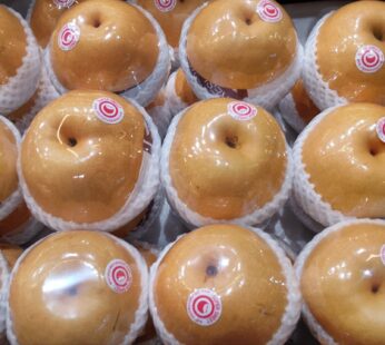 PEAR SINGKAU KOREA